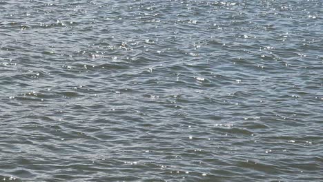 water surface with gentle ripples, subtle light reflections dancing, natural wave patterns in blue-gray tones