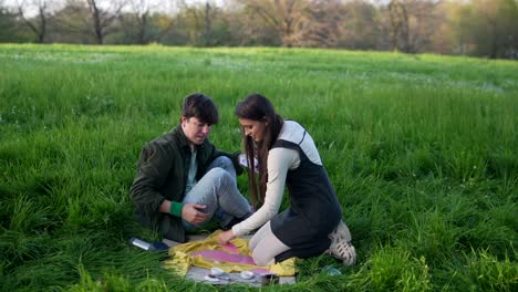 couple having a picnic in the park