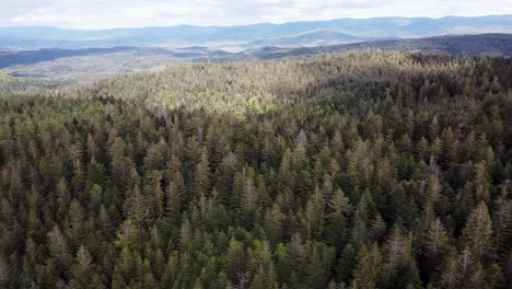 Vista-Aérea-De-Drones-Del-Bosque-De-Montaña-Con-Clima-Nublado-Movimiento-De-Camiones-4k