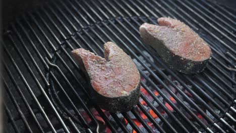 fresh, wild caught salmon steaks on the backyard barbecue grilling over hot coals - top down sliding view