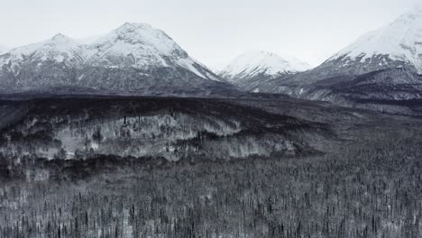 Aerial-view-pulls-away-from-Alaska-forest-and-Mountains