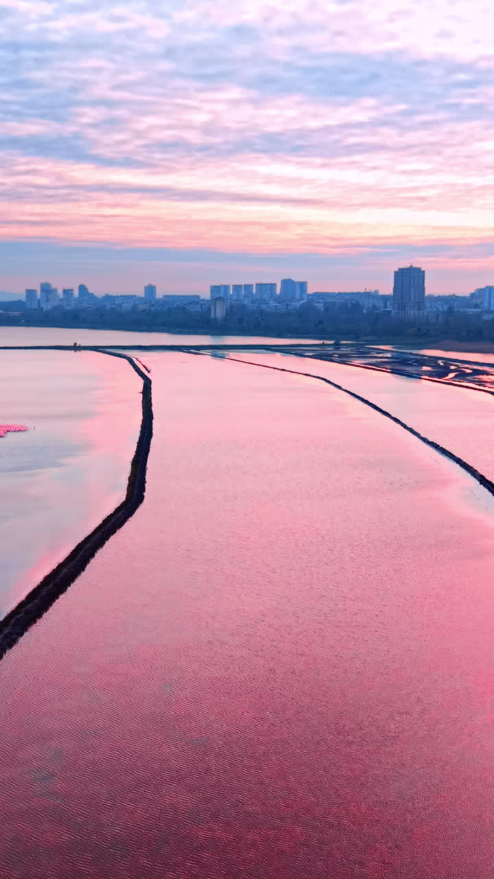 Vista aérea de salinas refletindo luz rosa. Pôr do sol sobre salinas cor-de-rosa perto de edifícios da cidade. Vídeo vertical.