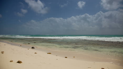 playa playa0