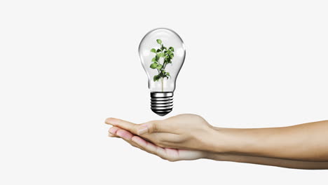 Hands-presenting-light-bulb-with-plant