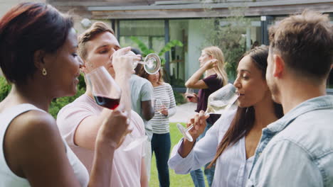 group of multi-cultural friends relaxing and making a toast in garden together