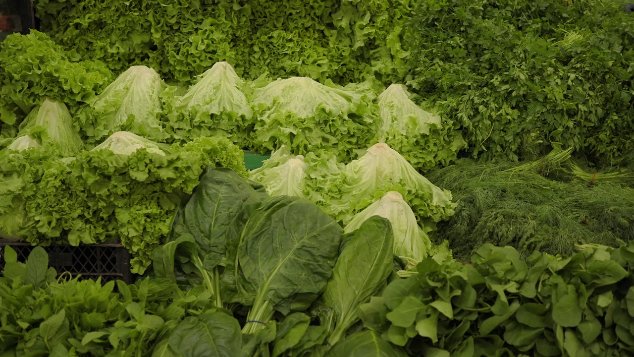 Assortment of Fresh Green Leafy Vegetables at a Produce Market
