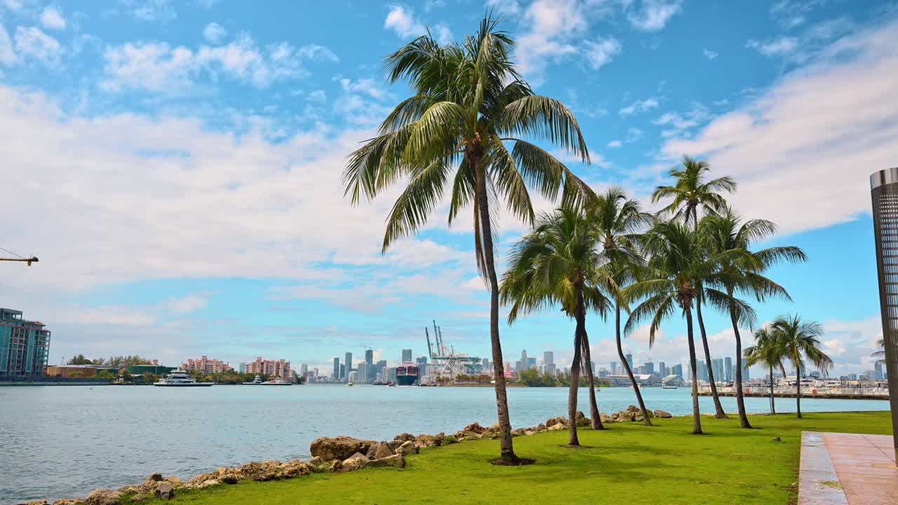 Costa tropicale con palme e skyline distante. Paesaggio di South Pointe Park con palme su erba verde e il porto e gli edifici di Miami oltre l'acqua blu.