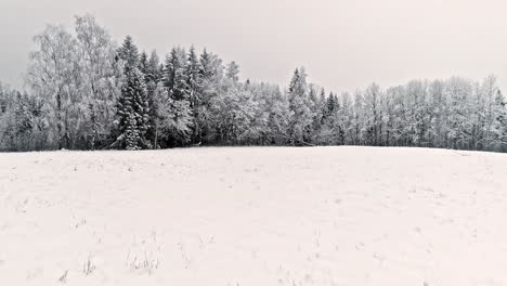 slow moving drone shot flying over snow covered fields and forests