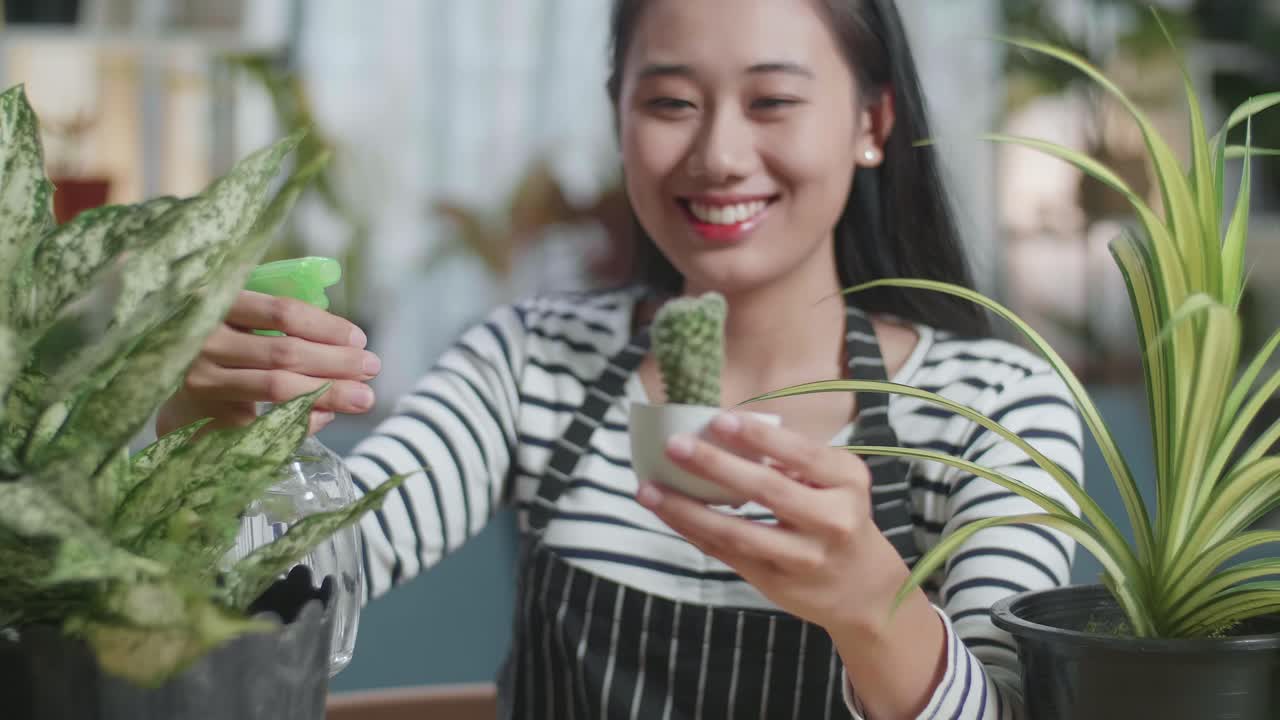 미소 짓는 아시아 여성이 집에서 터스 식물에 물을 주고 있는 장면