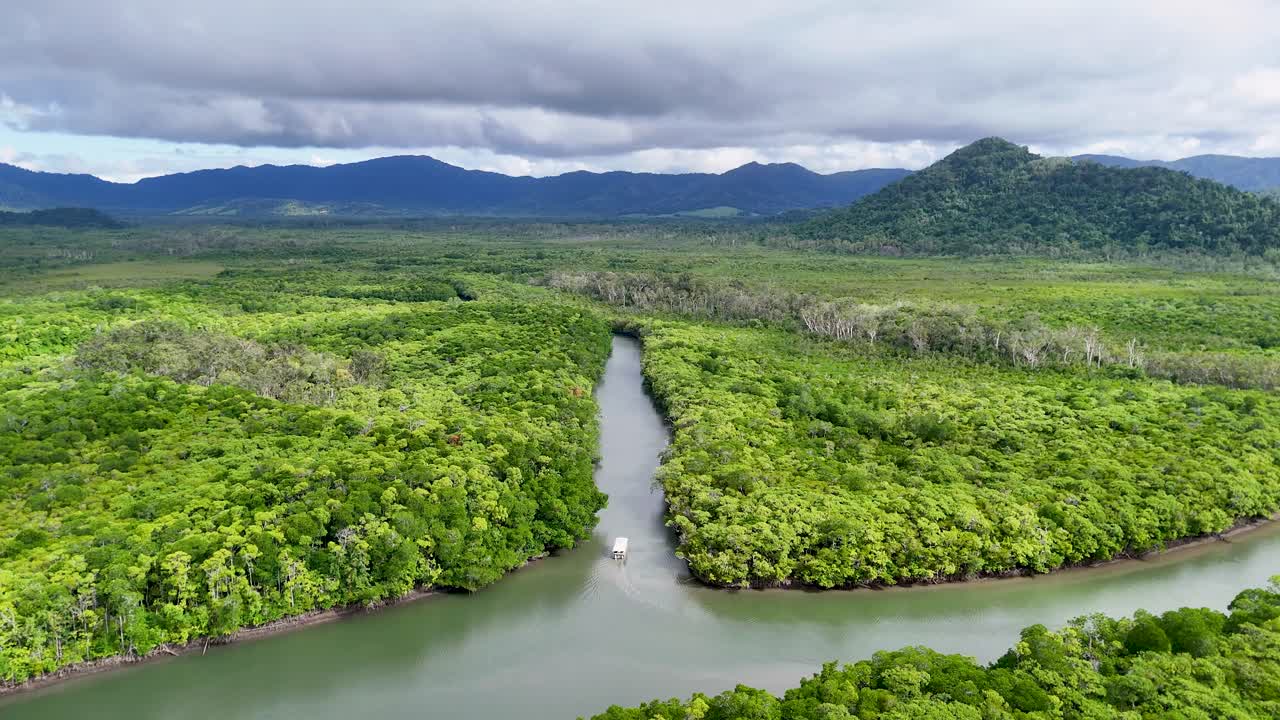 Aerial view of a winding river through dense mangrove forests under cloudy skies, showcasing vibrant greenery and serene landscapes