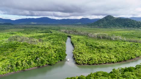 aerial view of a winding river through dense mangrove forests under cloudy skies, showcasing vibrant greenery and serene landscapes