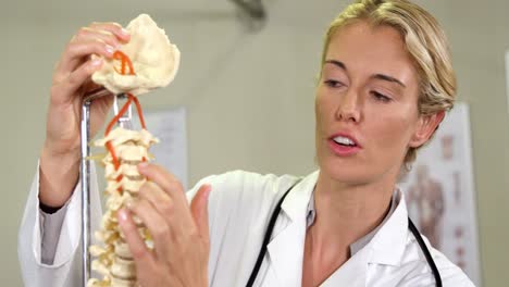 Physiotherapist-looking-at--spine-model