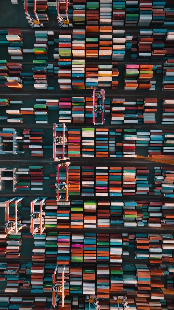 Containers are arranged in rows at the Los Angeles port cargo terminal. Cranes move containers in the freight yard. The terminal supports shipping and logistics activities.