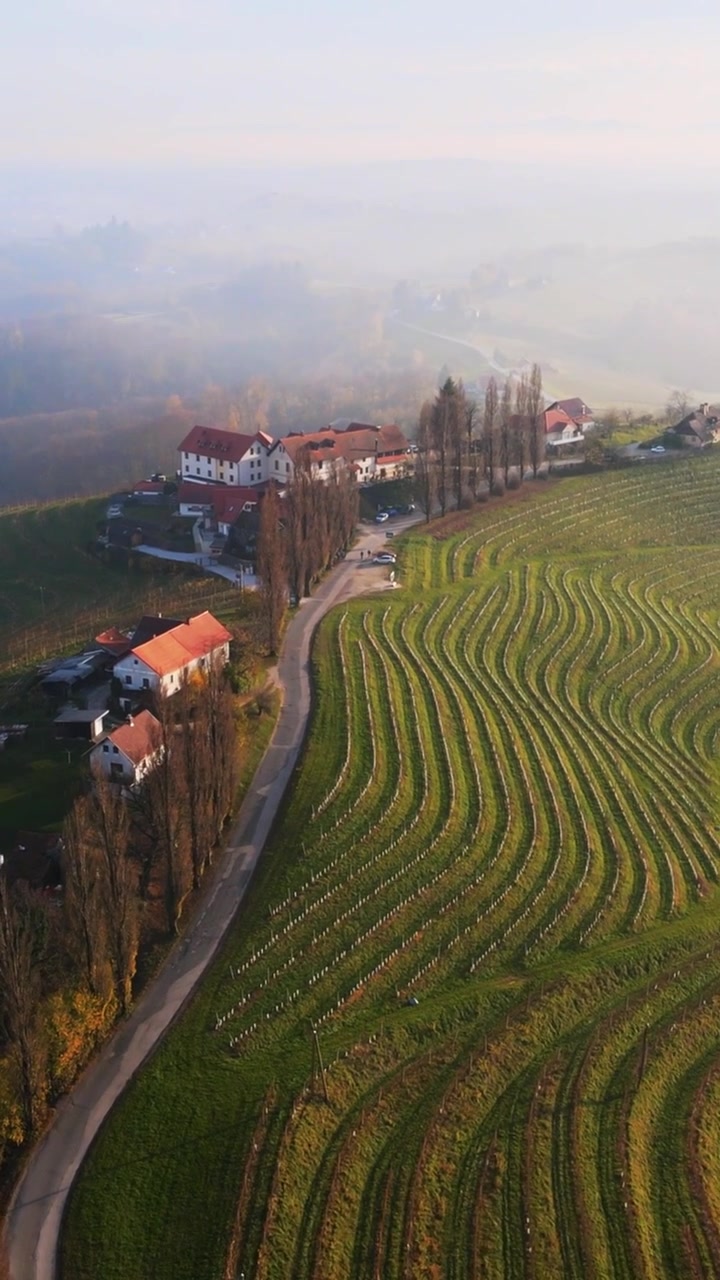 Filmato aereo verticale scorre su campi agricoli terrazzati e ondulati e affascinanti case di villaggi rurali tra la nebbia mattutina, ideale per le storie dei social media.