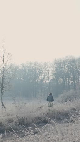 frozen winter landscape with fog