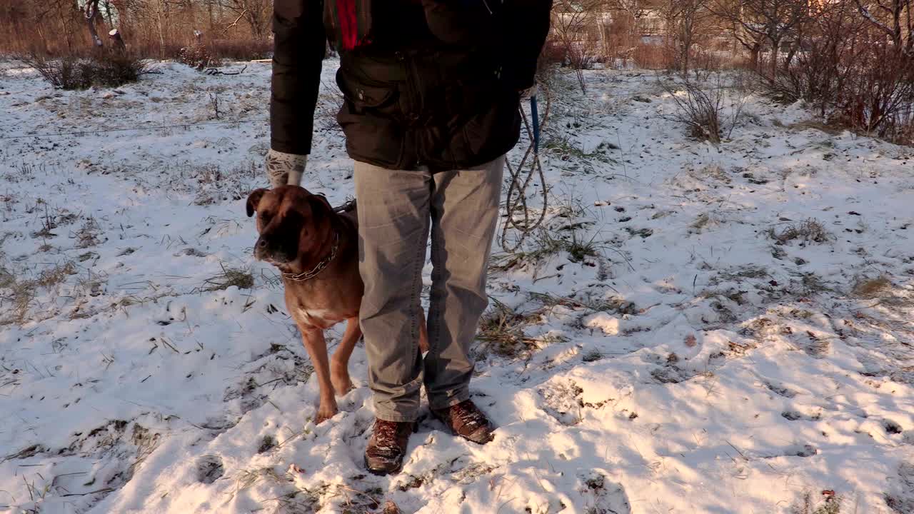 hombre con perro cerca de las piernas