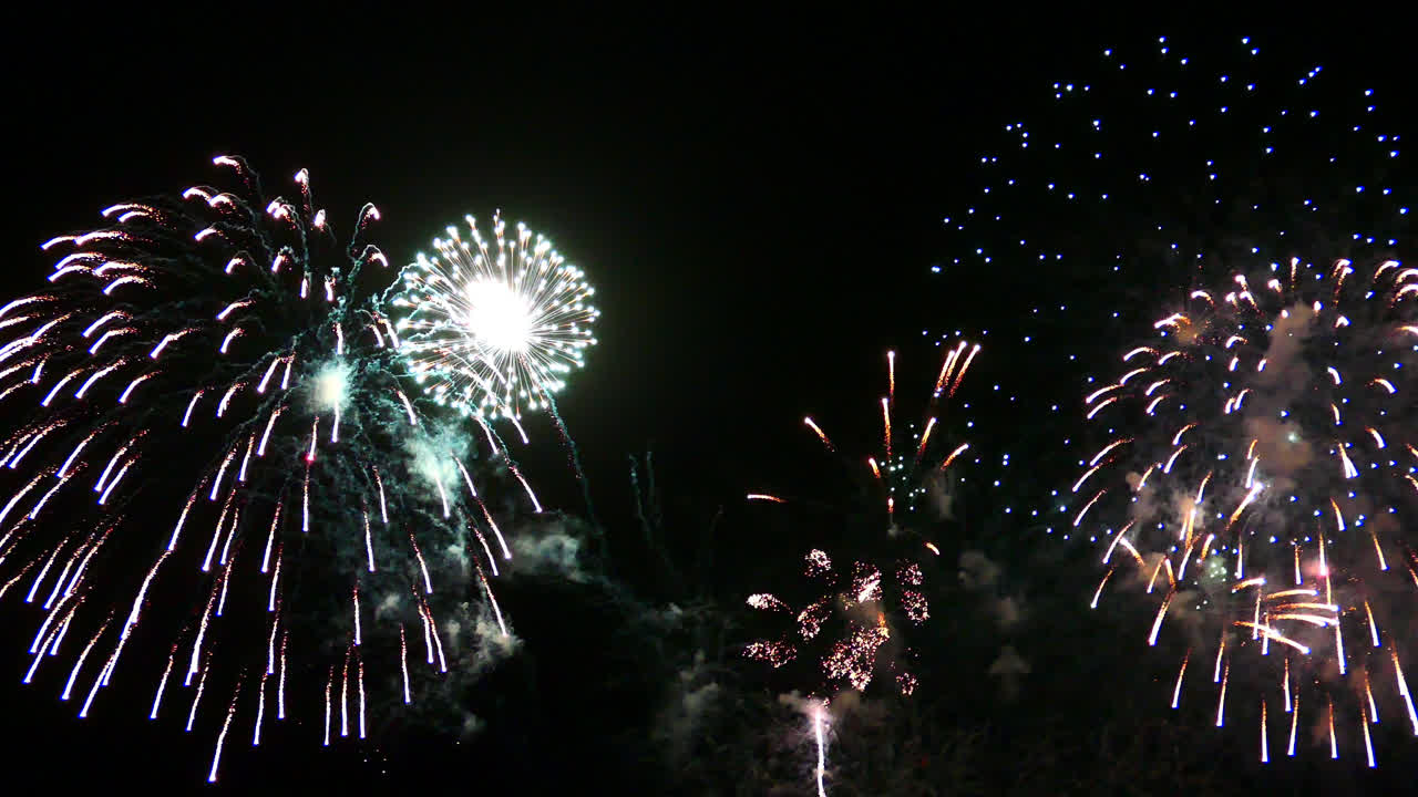 hermosa celebración abstracto colorido espectáculo de fuegos artificiales en el fondo de la noche