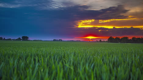 sun setting behind clouds in sky over green fields with crops