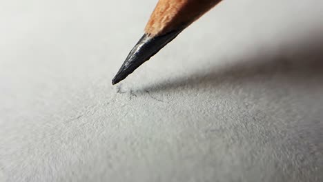 the drawing pencil does not hesitate to start drawing on white paper