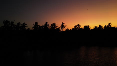 tropical sunset with palm tree silhouettes