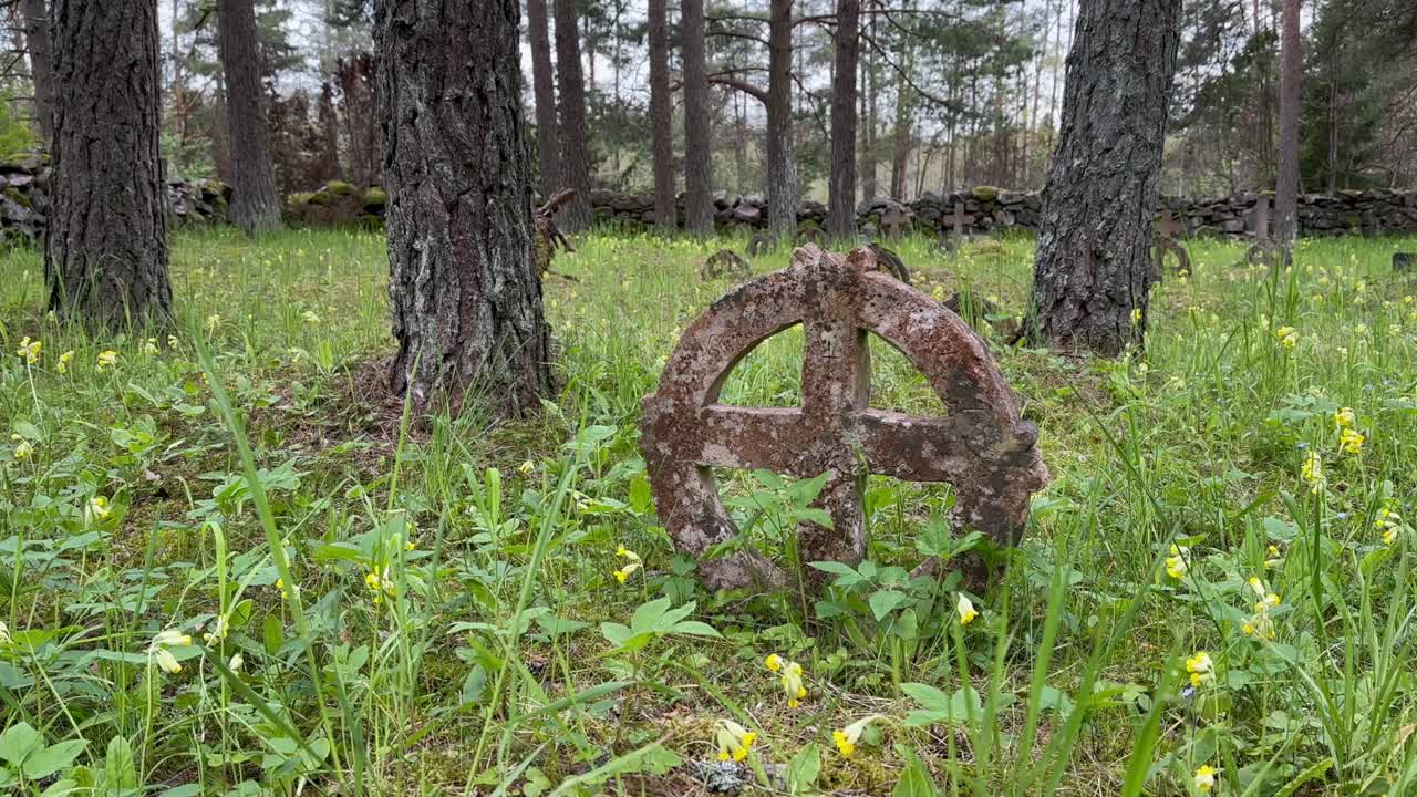 Sun cross, also known as solar cross, ring cross or wheel cross, in Vormsi cemetery, Estonia.