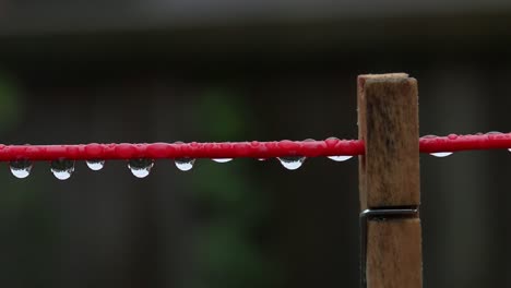 gotas de lluvia y una clavija en una línea de lavado