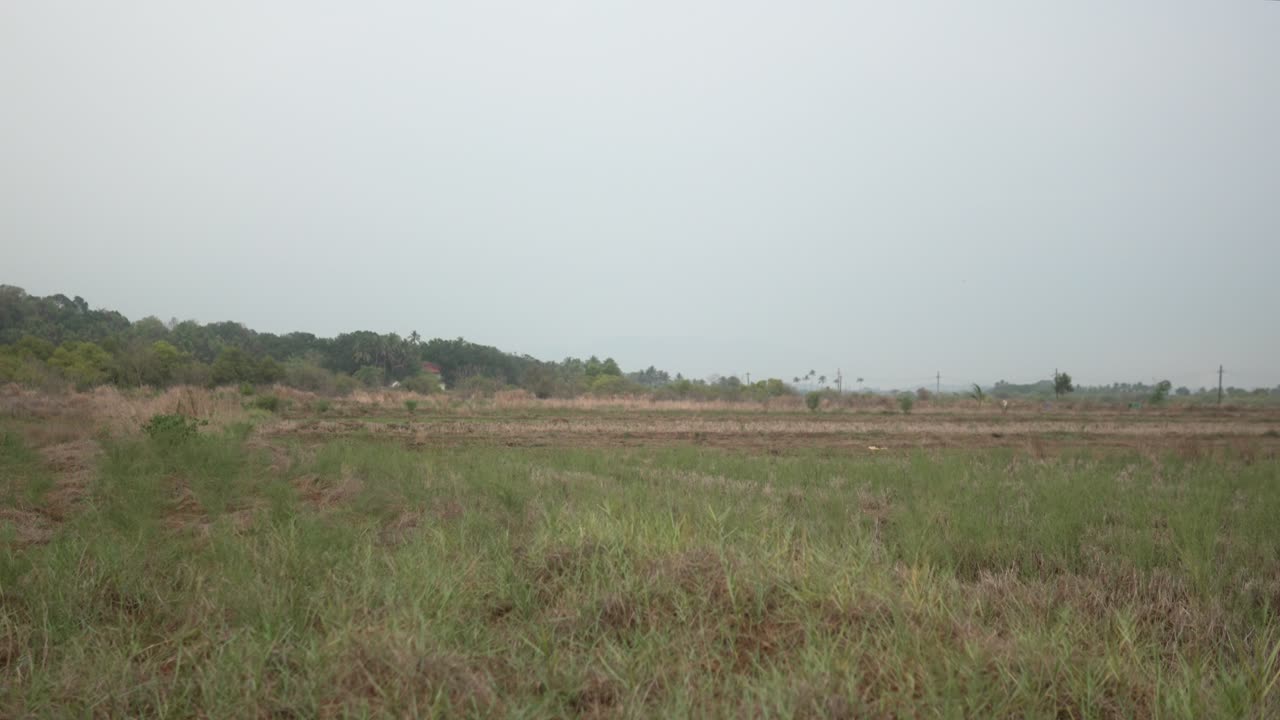 구름이 가득한 하늘 아래 멀리 있는 나무 들 이 있는 넓은 풀