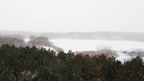 FPV-drone-flying-through-winter-blizzard-snowstorm-in-a-forest-by-a-frozen-lake