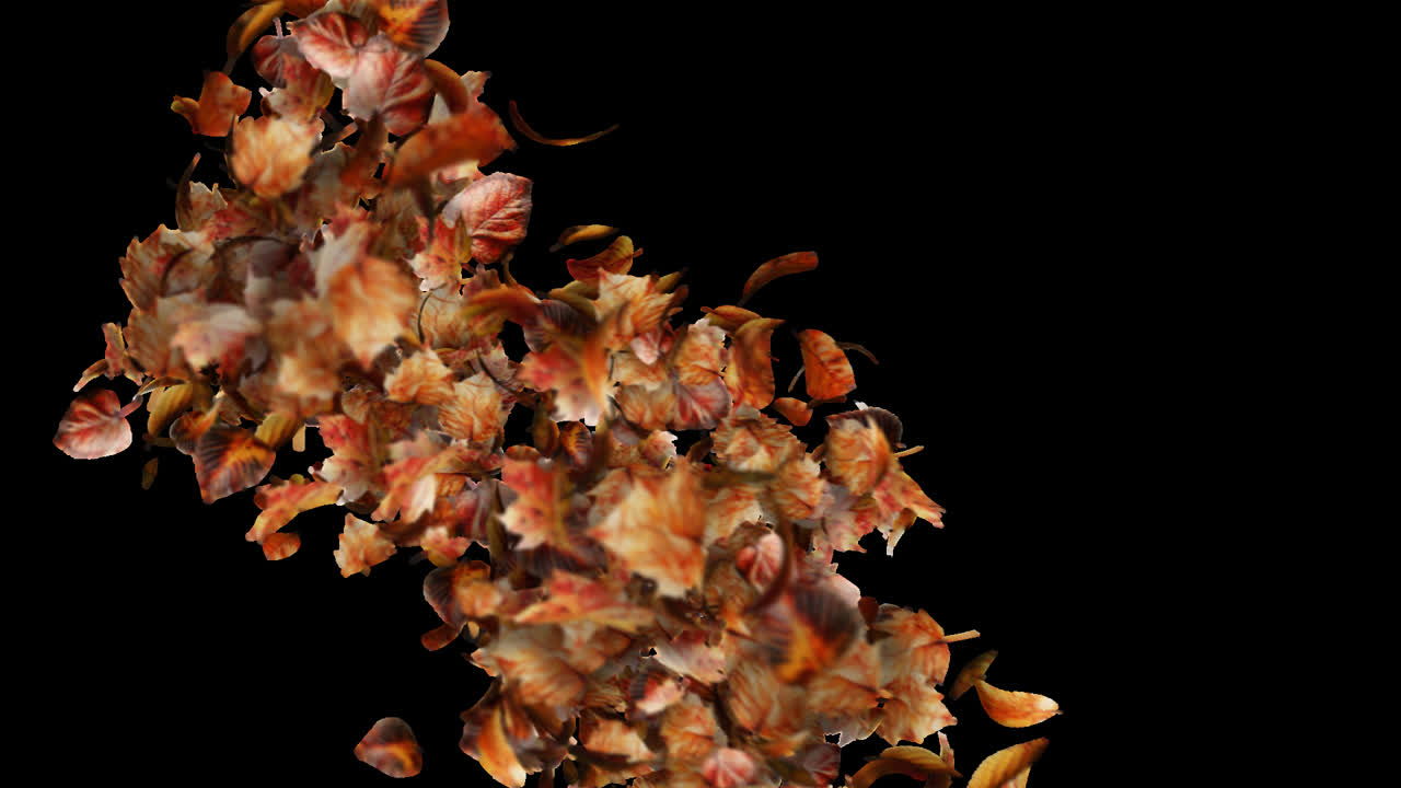 Autumn Leaves Burst Element on Transparent Background