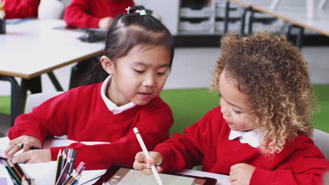 young mixed race schoolgirls in an infant school classroom drawing using a tablet computer, close up