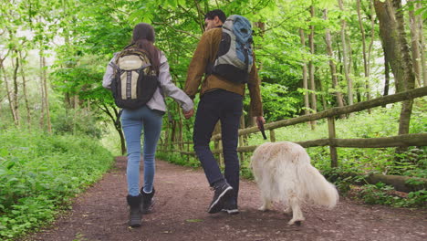 vista trasera de una joven pareja de manos mientras caminan por el camino a través de los árboles en el campo con un perro golden retriever en la correa - disparado en cámara lenta