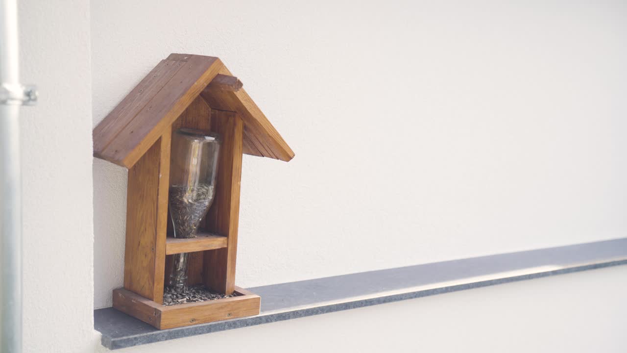 vista angular de cerca de chickadee comiendo semillas desde el alimentador de aves del patio trasero