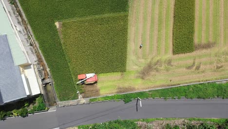 Aerial-drone-footage-Cultivated-rice-paddy-field,-farmer-harvesting-the-crops-with-multifunctional-paddy-harvesting-machine-rice-harvester-tractor-at-Doliu-Yunlin-City-Taiwan