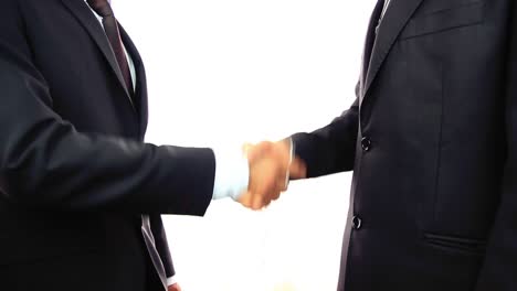 two businessmen shaking hands