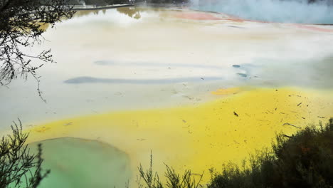 yellow colored water pools with rising steam of boiling lake in new zealand hydrothermal area - natural phenomenon