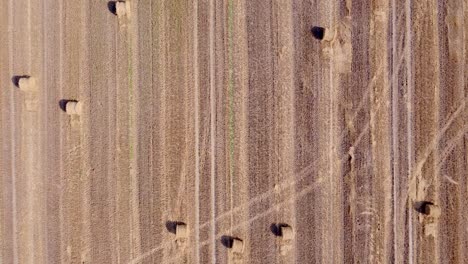 aerial shot passing a harvested field with straw bales. drone view.
