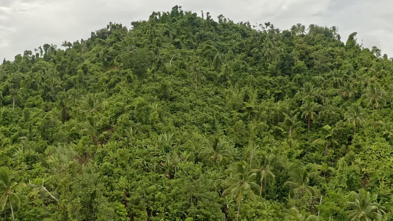vista aérea sobre una colina llena de una densa selva