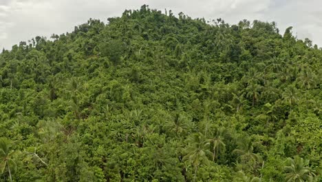 Vista-Aérea-Sobre-Una-Colina-Llena-De-Una-Densa-Jungla