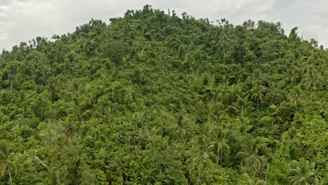 aerial view over a hill full of a dense jungle