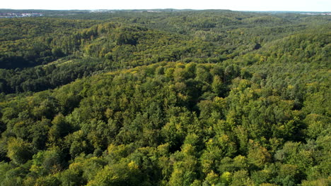 el verde bosque polaco desde arriba
