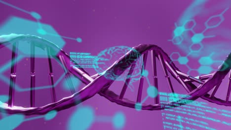 Animation-of-dna-strand-over-data-processing