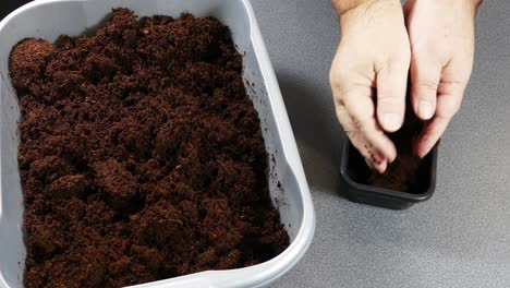 microgreens que utilizan fibra de coco como suelo