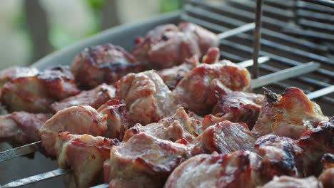 grilled pork skewers on a barbecue