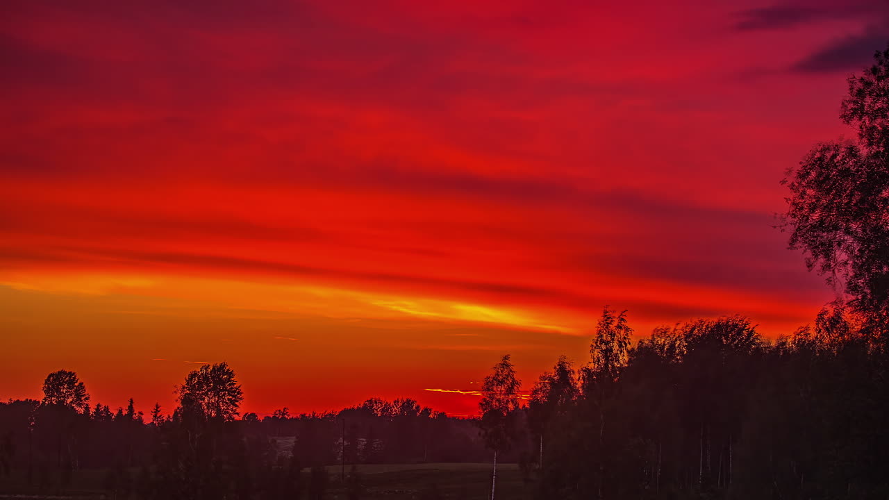 저녁 시간 동안 자작나무 숲 위로 황금빛 일몰 직후 어두워지는 밝고 화려한 하늘의 저속 촬영