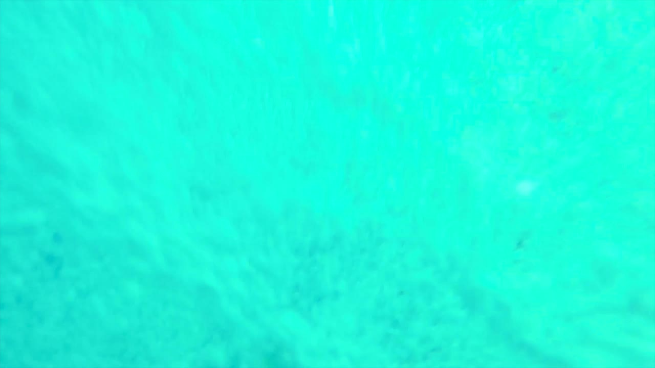 수영장에서 어나오는 거품의 추상적인 배경입니다.