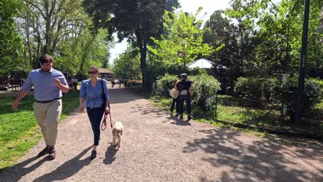 a couple walks their dog in a park