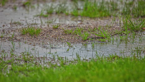 Vergehende-Ansicht-Von-Regentropfen,-Die-Bei-Regenwetter-Auf-Den-Boden-Und-Grünes-Gras-Treffen