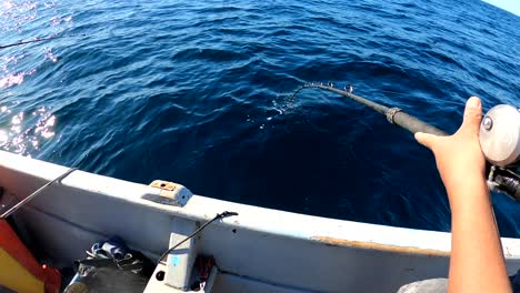 los carretes de pescador y las peleas contra los peces con el palo tirado en el agua