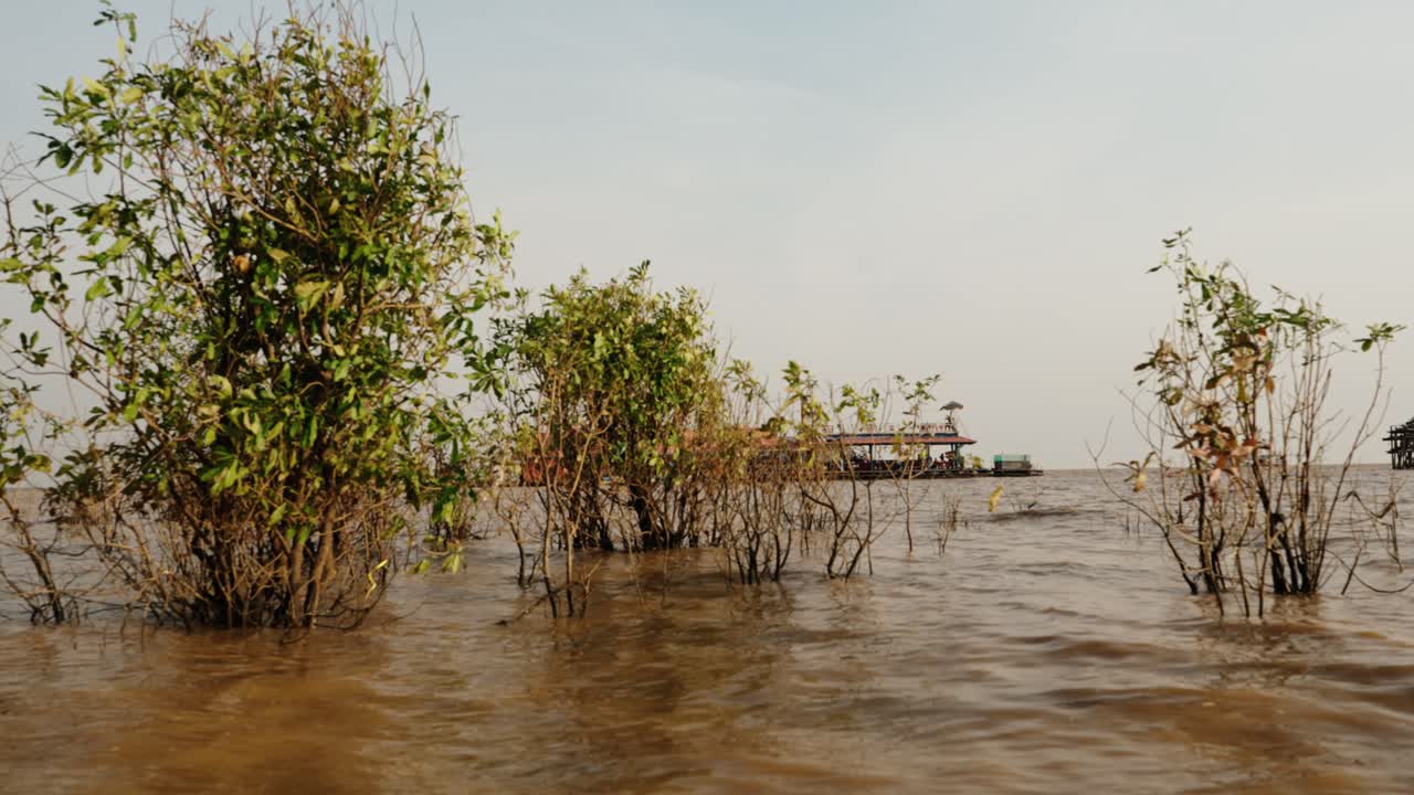 Small trees rise from Tonle Sap lake water with floating village buildings beyond