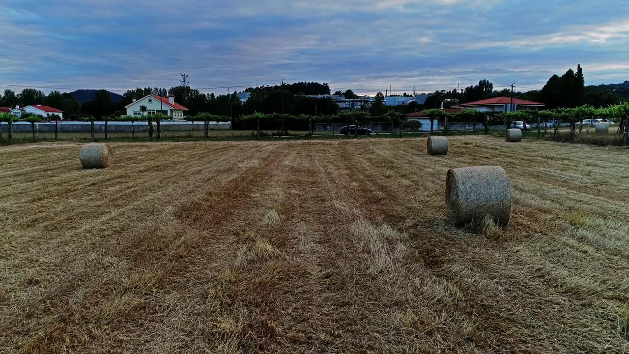 balas de heno en el campo agrícola